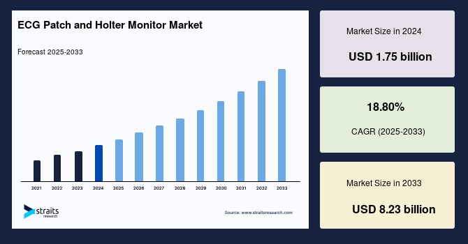 ECG Patch and Holter Monitor Market Playbook: Winning with Innovation, AI, and Patient-Centric Care