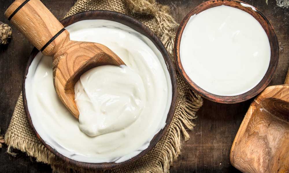 Farm fresh yoghurt Abu Dhabi4