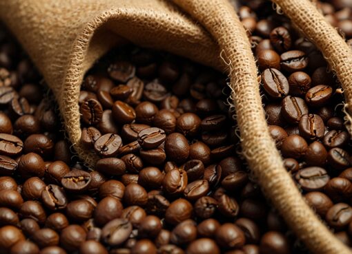 Coffee Bean Processing Plant