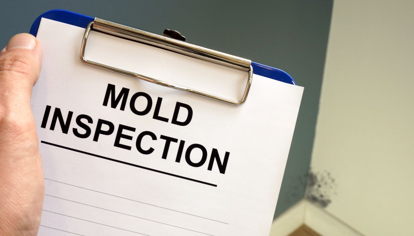 Mold Inspection