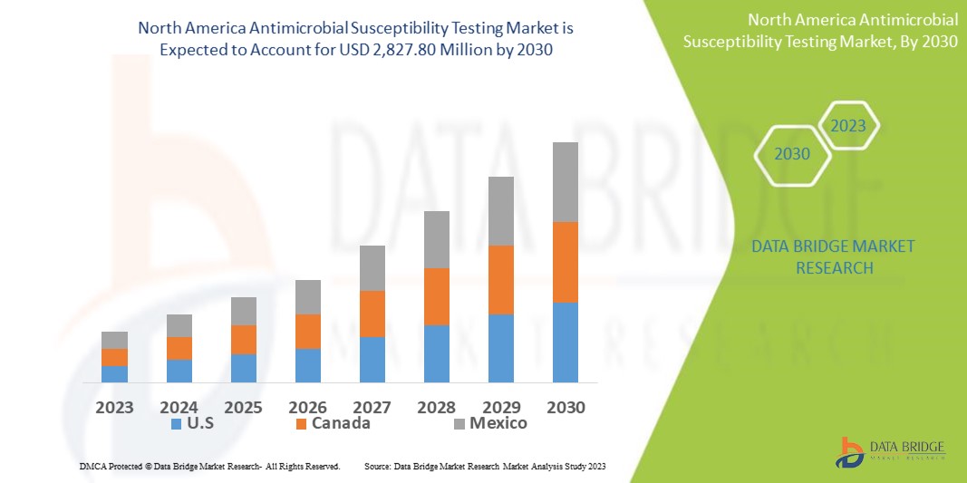 North America Antimicrobial Susceptibility Testing Market Insights, Trends & Growth Outlook