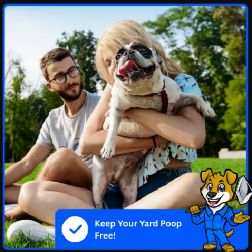 Top Pooper Scooper Services in DFW for Clean, Odor-Free Yards