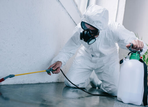 General Pest Control Cleveland