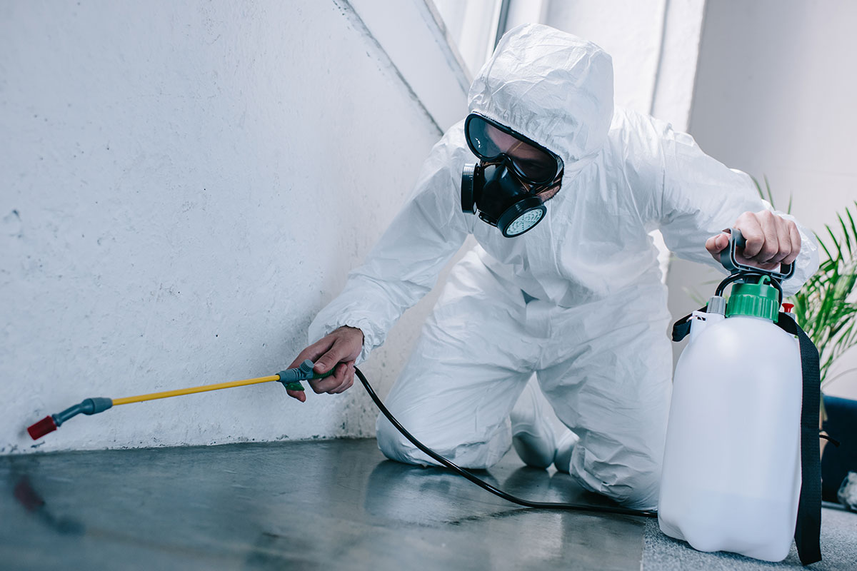 General Pest Control Cleveland