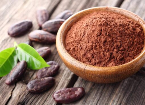 Cocoa Processing Plant