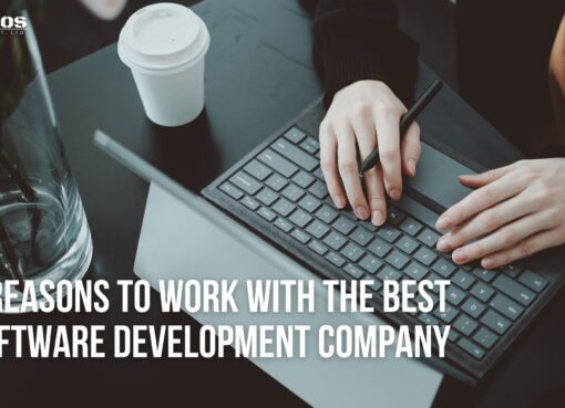 7 Reasons to Work With the Best Software Development Company