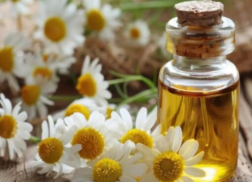 essential oil bulk suppliers