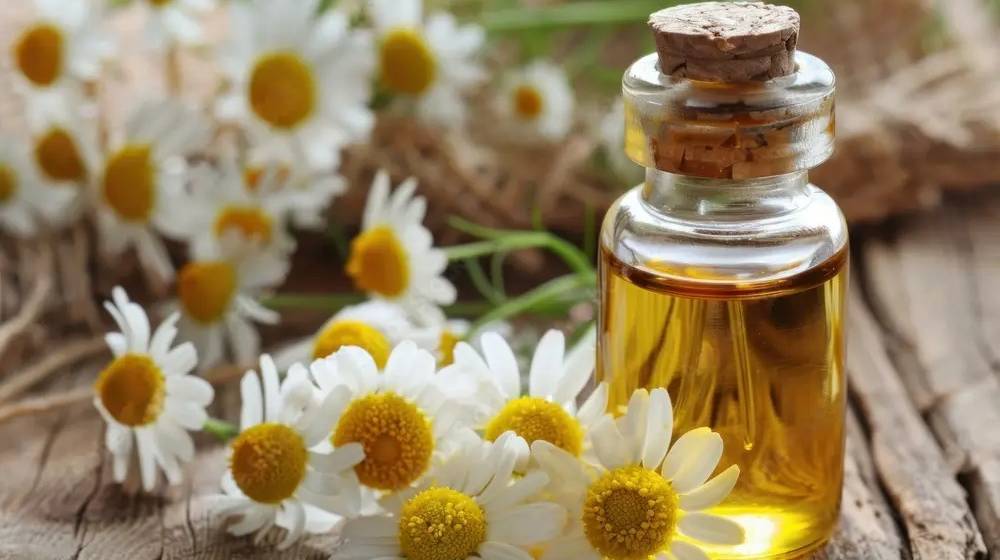 essential oil bulk suppliers