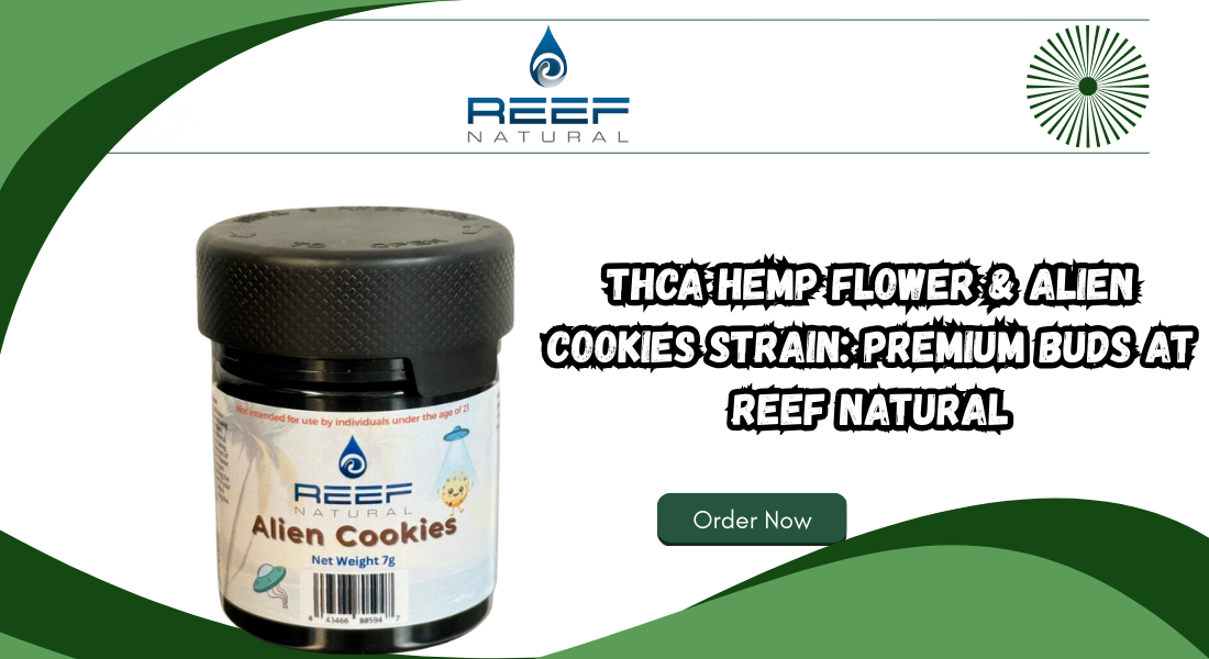 THCA Hemp Flower & Alien Cookies Strain: Premium Buds at REEF Natural