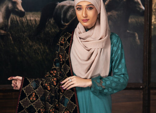 velvet pakistani shawls