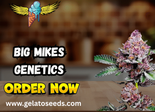 big mikes genetics