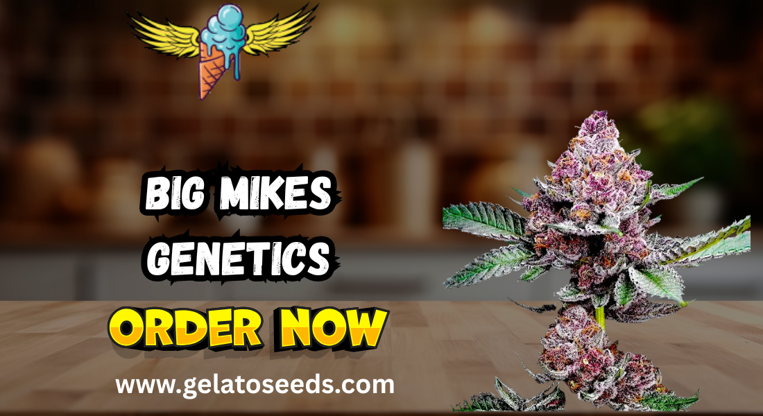 big mikes genetics