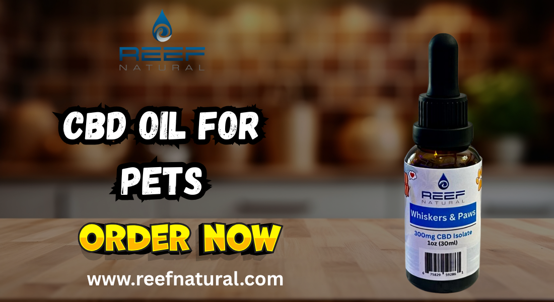 Premium CBD Oil for Pets & Pet CBD Treats for Dogs | Reef Natural