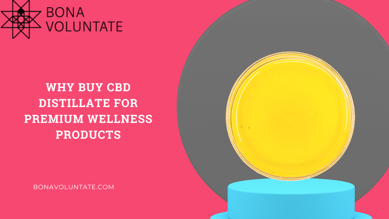 Why Buy CBD Distillate for Premium Wellness Products