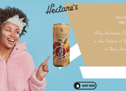 Why Hectare’s THC Drink is the Future of Relaxation in New Jersey
