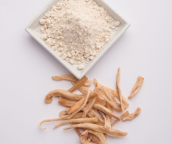 Muesli Manufacturing Plant