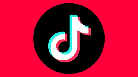 TikTok Marketing Company Dubai