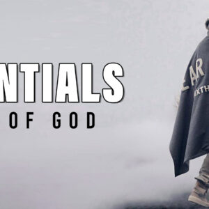 Go Bold, Bright Step Into Hues of Essentials Clothing!