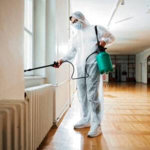 Professional Pest Control Services in Cooper City, FL | Apache Pest Control