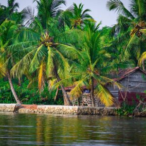 southern india tour packages