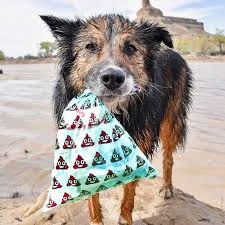 Heavy Duty Solutions for Pet Cleanup: Gogostik's Innovative Bags and Tools