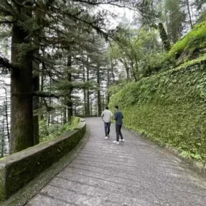 Delhi To Mussoorie Landour Tour Package
