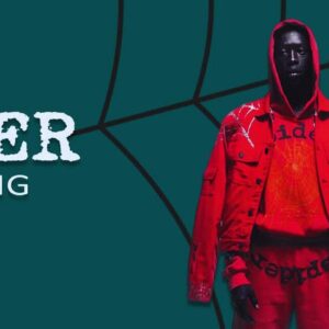 Spider Hoodies for All Seasons – Shop Online in the USA.