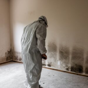 mold inspection Los Angeles