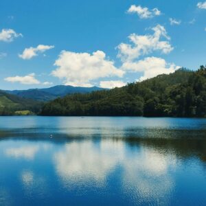 kerala tour packages