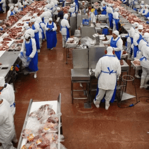 Brazil poultry export containers ready for global shipping