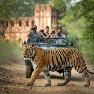 Jaipur Ranthambor tour