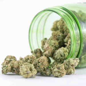 dispensary Chelmsford