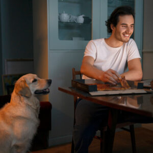 dog boarding overnight