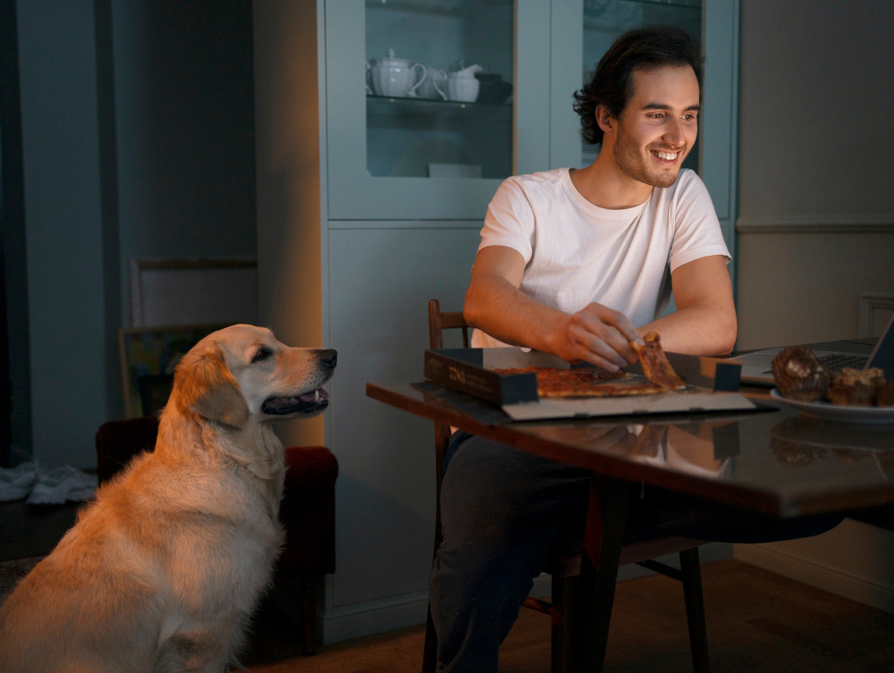 dog boarding overnight