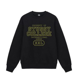 Stussy Sweatshirt: Features Of This Rare Product