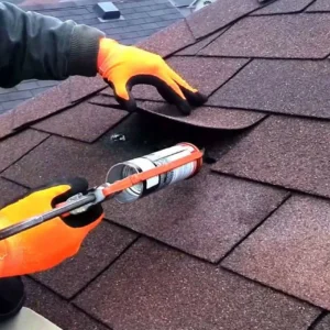 Roof Repair