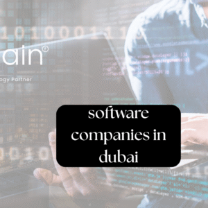 Software compaines in dubai